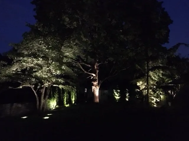 Reliable lawn mowing service experts serving Closter, NJ - Beautiful Outdoors