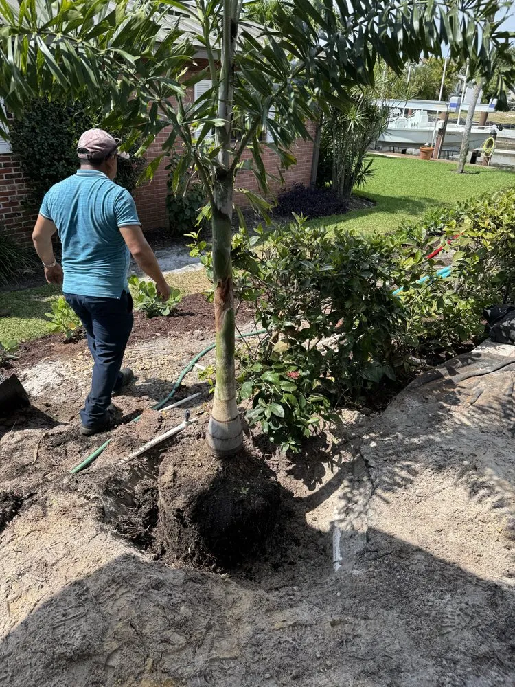 Top-rated residential landscaping for outdoor upgrades across Naples, FL - Beautiful Sunrise Lawn Care