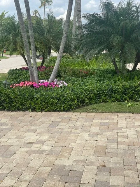 Professional outdoor landscaping for beautiful yards across Naples, FL - Beautiful Sunrise Lawn Care