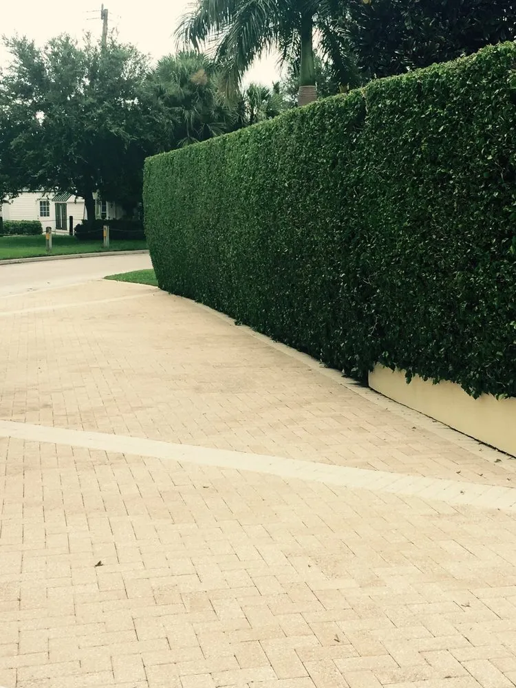 Top-rated outdoor landscaping in Naples, FL - Beautiful Sunrise Lawn Care