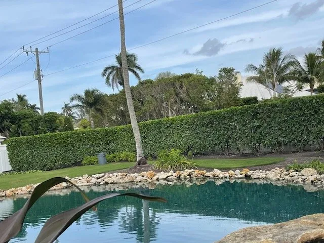 Top-rated landscape design near you across Naples, FL - Beautiful Sunrise Lawn Care