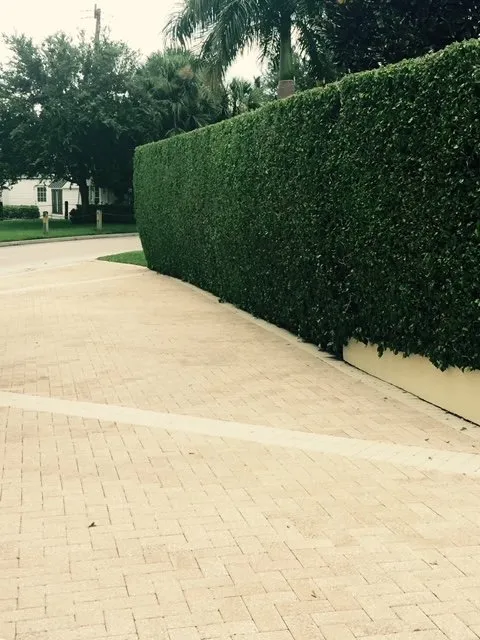 Trusted landscaping services for beautiful yards across Naples, FL - Beautiful Sunrise Lawn Care