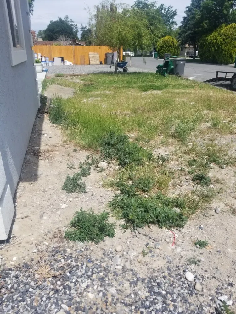 Affordable residential landscaping for outdoor upgrades in Pasco, WA by Beautiful View Landscaping