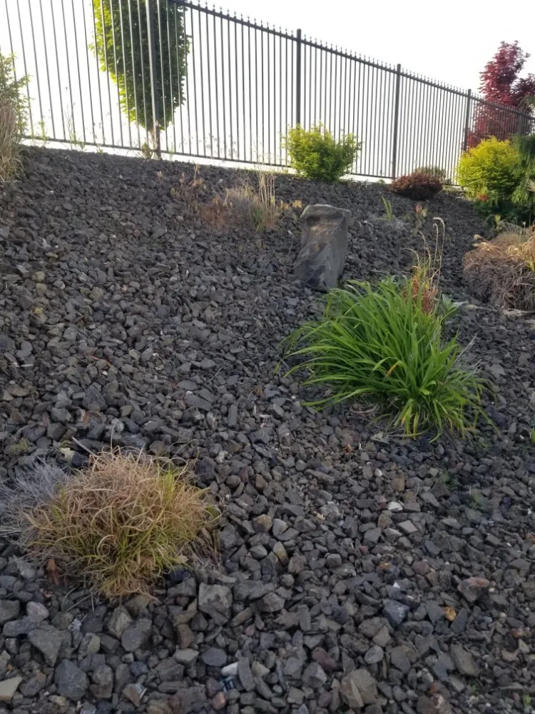 Affordable yard maintenance in Pasco, WA - Beautiful View Landscaping