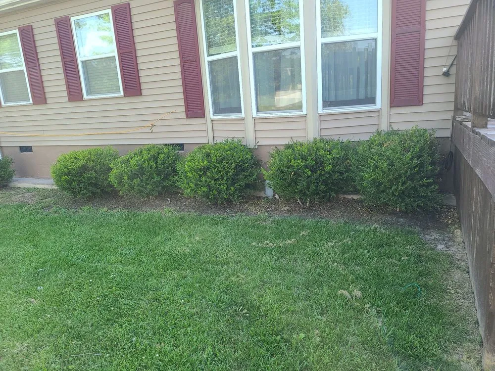 Expert residential landscaping for residential properties across Bethany, MO - Beautiful Yards Landscaping
