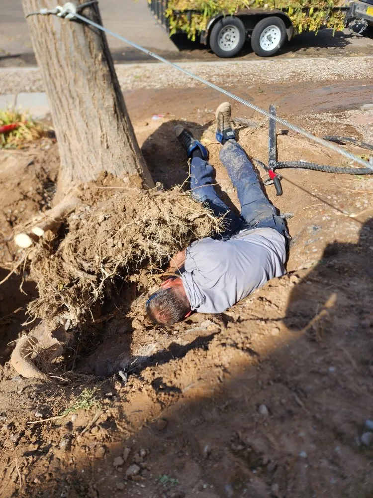 Local landscape installation in Albuquerque, NM - Beautifully Designed Landscapes