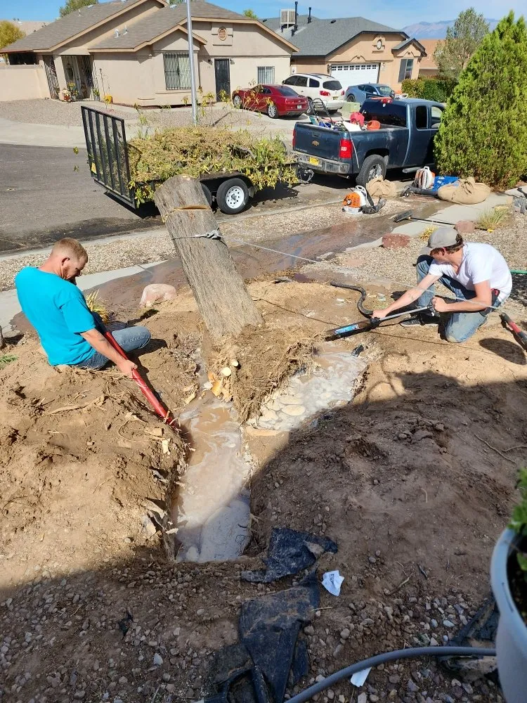 Top-rated yard maintenance experts serving Albuquerque, NM - Beautifully Designed Landscapes