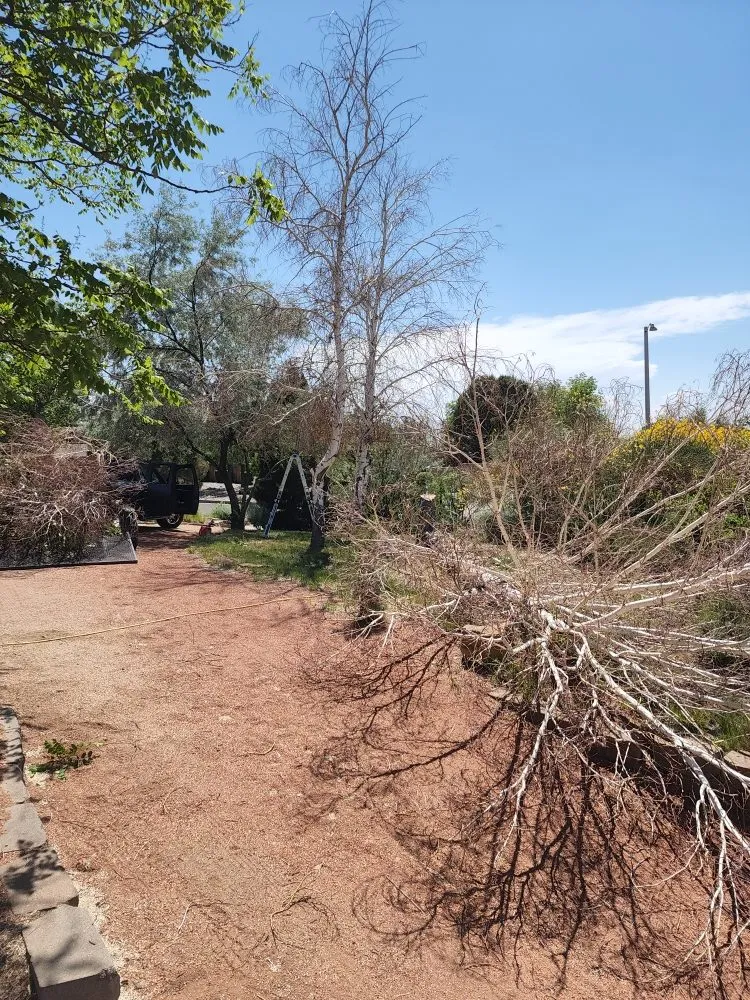 Local garden landscaping in Albuquerque, NM by Beautifully Designed Landscapes
