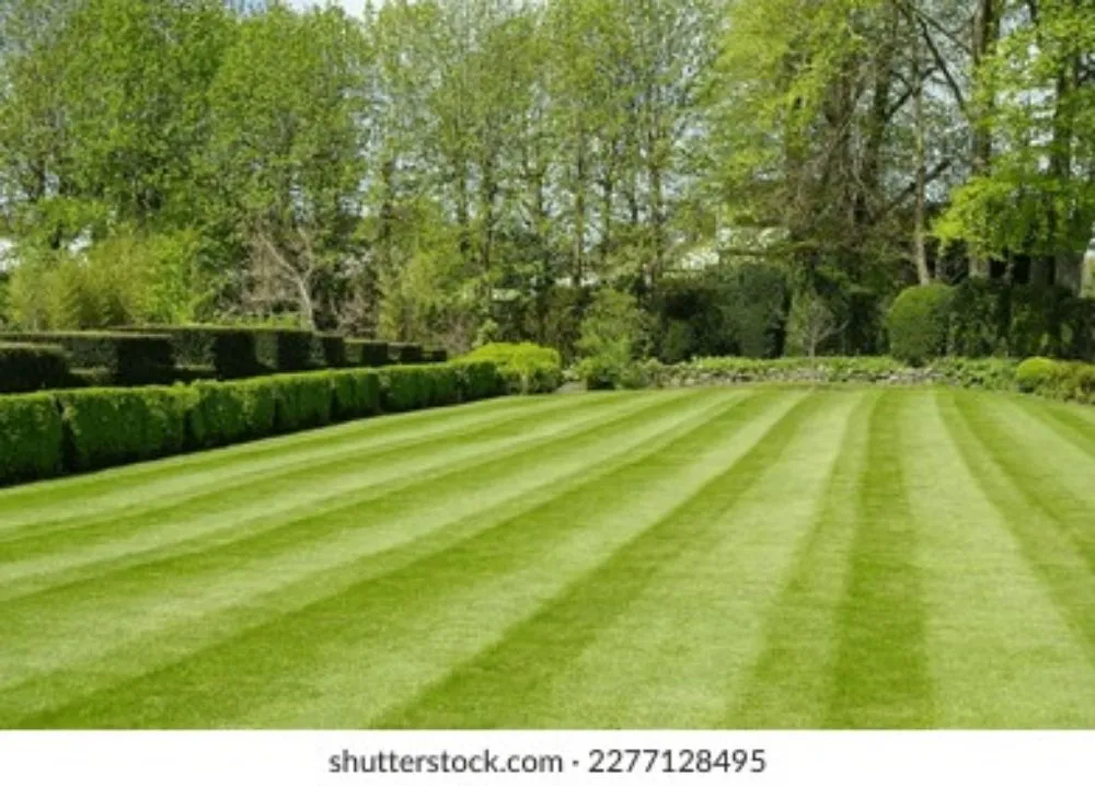 Expert lawn mowing service experts serving Hammond, IN - Beautifying Lawn Care