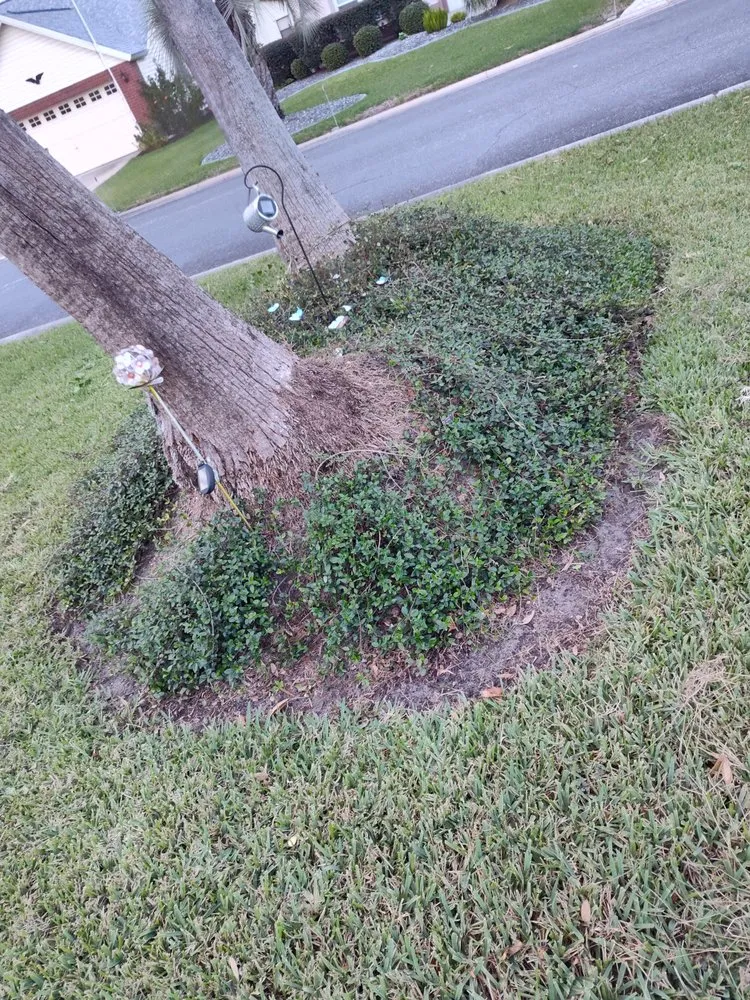 Local landscaping services with custom design across Wildwood, FL - Beautiscape Lawn Care