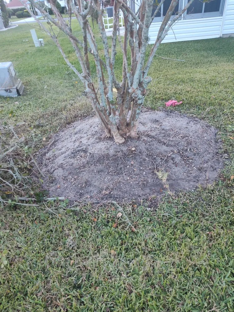 Reliable landscape installation in Wildwood, FL - Beautiscape Lawn Care