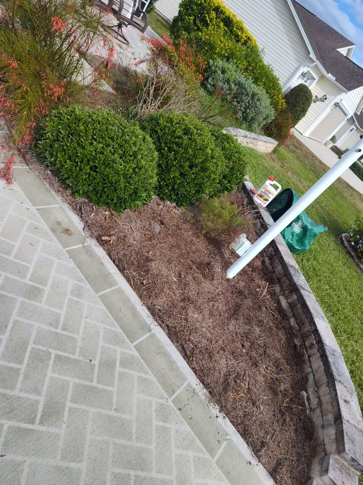 Top-rated landscaping services in Wildwood, FL by Beautiscape Lawn Care