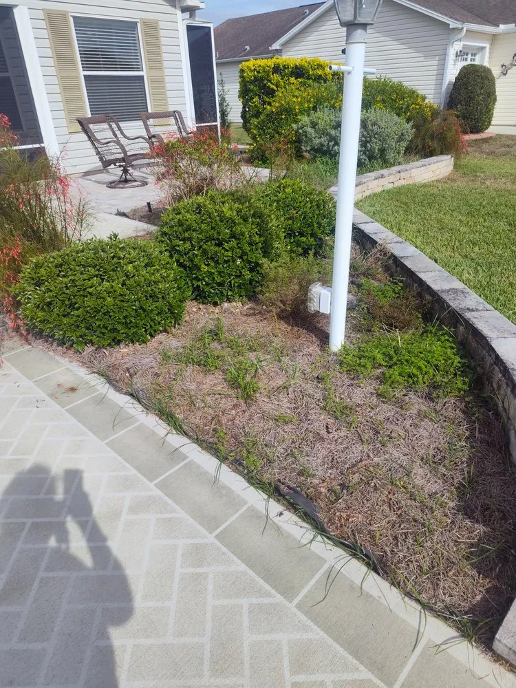 Custom yard maintenance in Wildwood, FL by Beautiscape Lawn Care