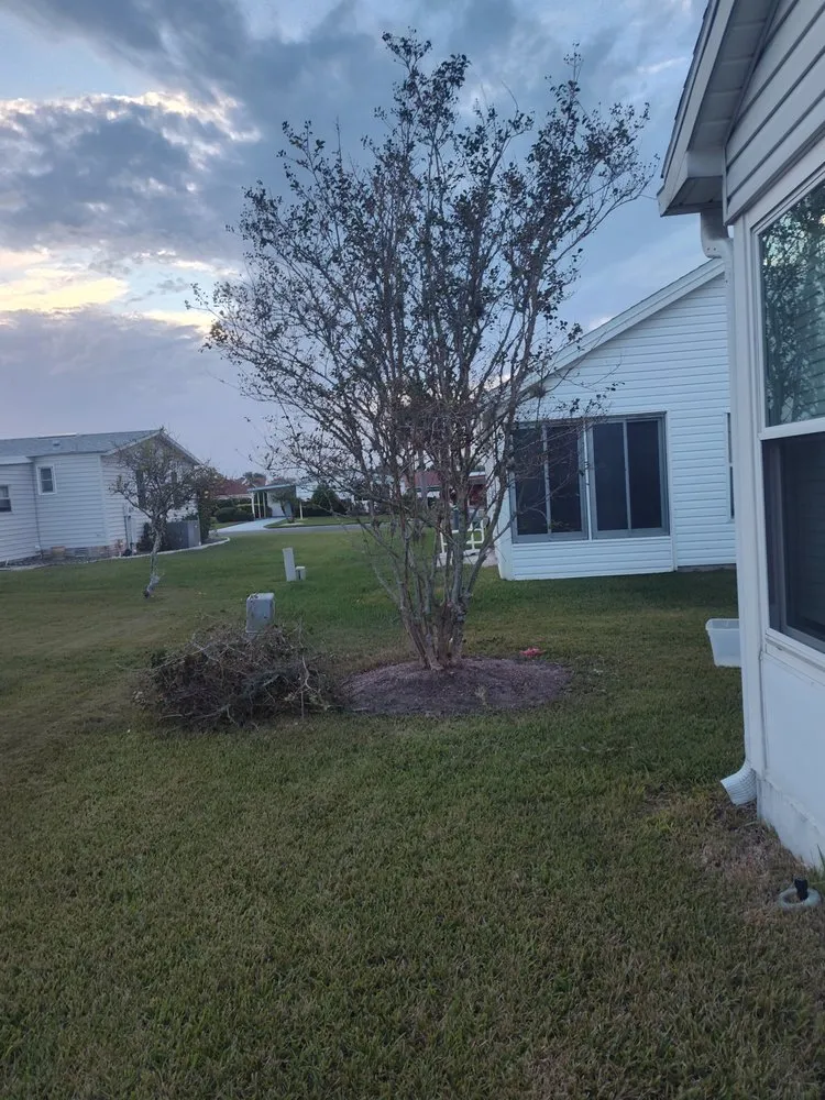 Custom landscape installation in Wildwood, FL by Beautiscape Lawn Care