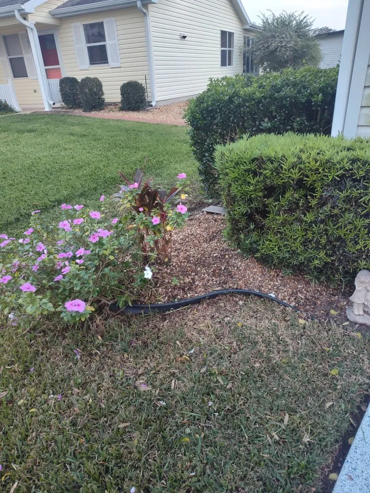 Expert outdoor landscaping in Wildwood, FL by Beautiscape Lawn Care