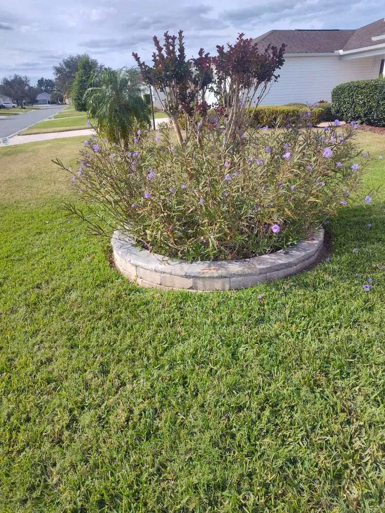 Top-rated residential landscaping experts serving Wildwood, FL - Beautiscape Lawn Care