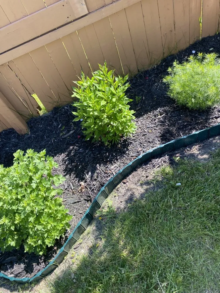 Trusted landscaping services for year-round maintenance across Westerville, OH - Beauty & Beast Trucking