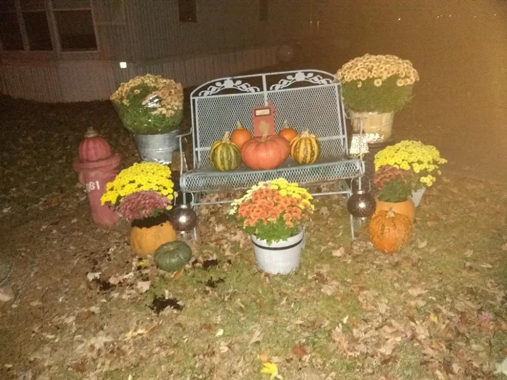 Affordable landscaping services experts serving Conway, MO - Beauty and Beast Services