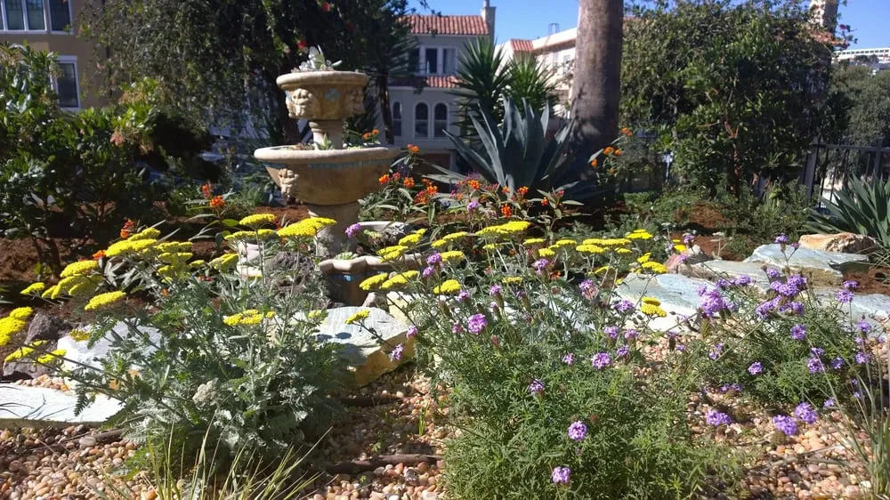 Local residential landscaping for outdoor upgrades across Oakland, CA - Beauty and the Feast