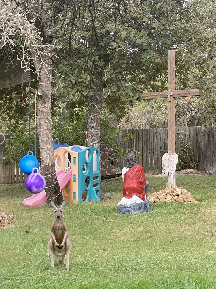 Expert lawn care service in San Antonio, TX - Beauty and the Weed Landscaping