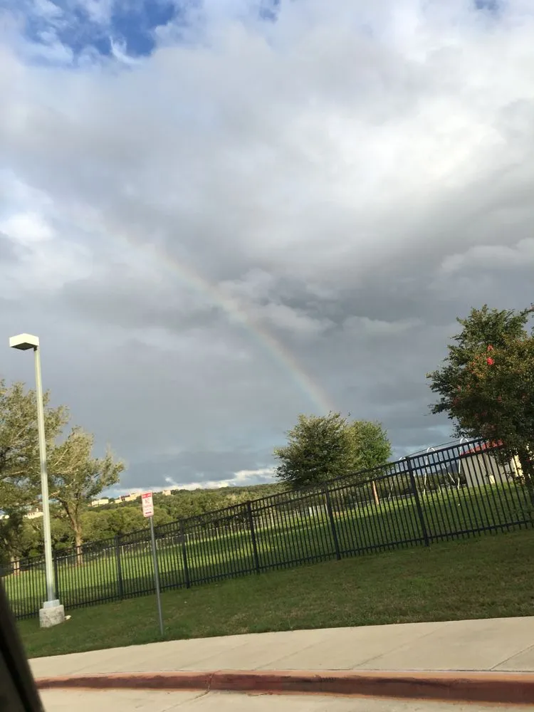 Professional yard cleanup service for outdoor upgrades across San Antonio, TX - Beauty and the Weed Landscaping