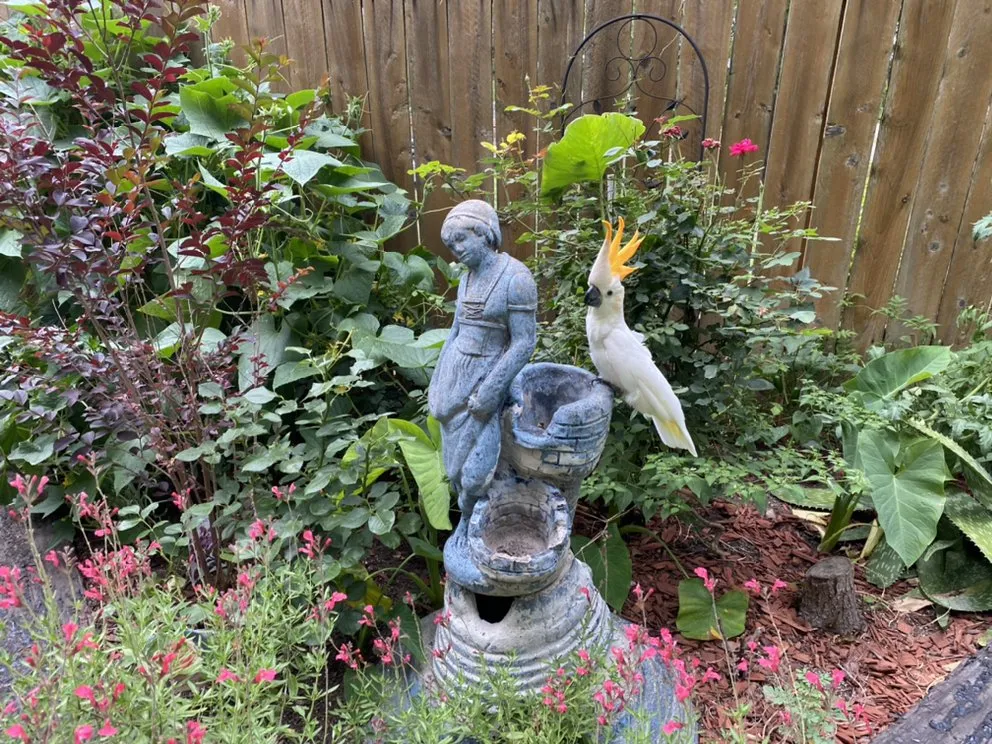 Affordable garden landscaping in San Antonio, TX by Beauty and the Weed Landscaping