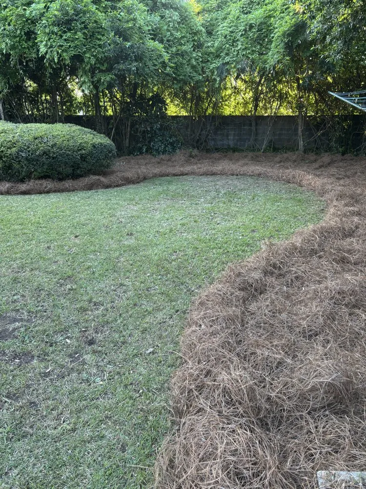 Trusted yard maintenance for outdoor upgrades in Mullins, SC by Beauty By Keeya Landscaping
