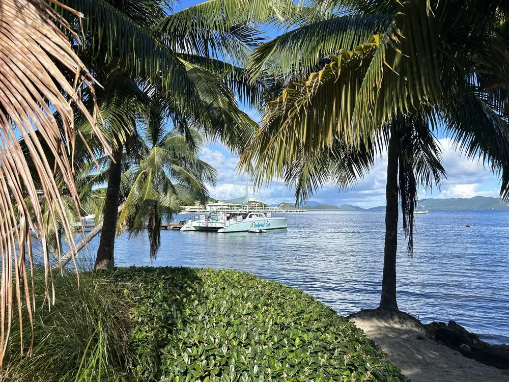 Local yard maintenance in Dunedin, FL by Beauty by the Beast