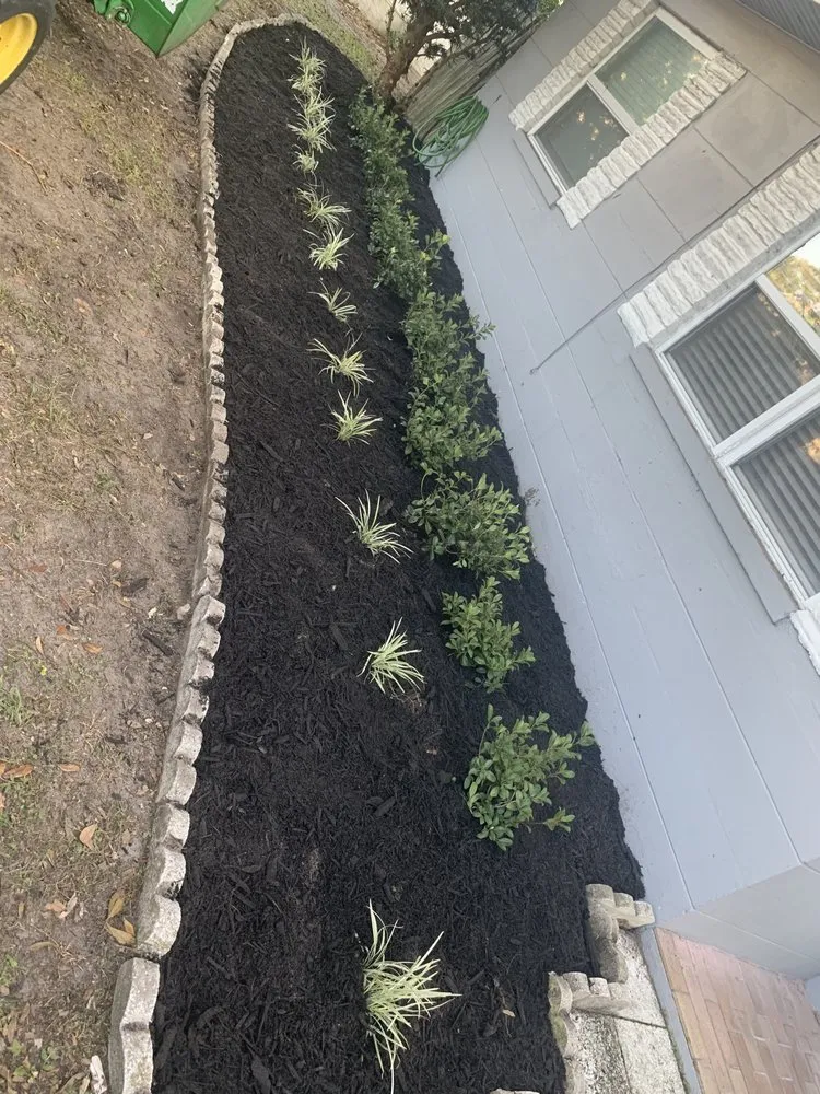 Custom landscaping services in Dunedin, FL by Beauty by the Beast