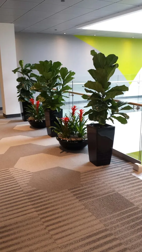 Expert landscape installation experts serving Neenah, WI - Beauty By The Yard