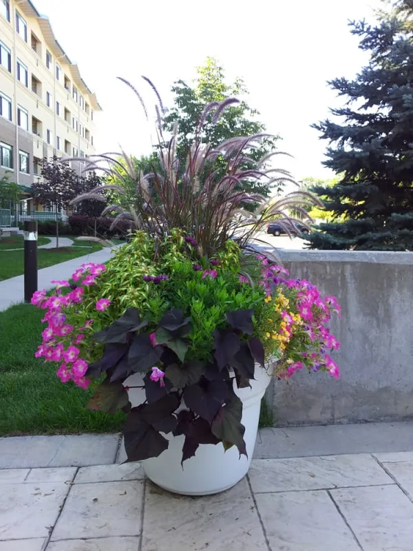 Custom outdoor landscaping for year-round maintenance in Neenah, WI by Beauty By The Yard