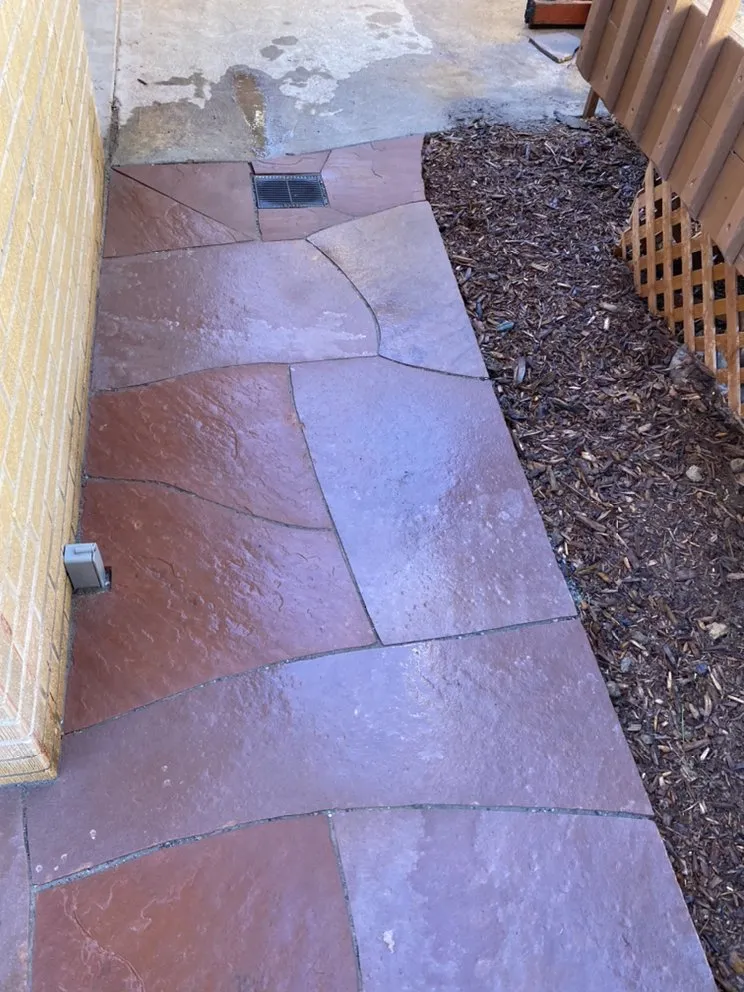 Expert landscaping services for year-round maintenance across Denver, CO - Beauty For Seasons