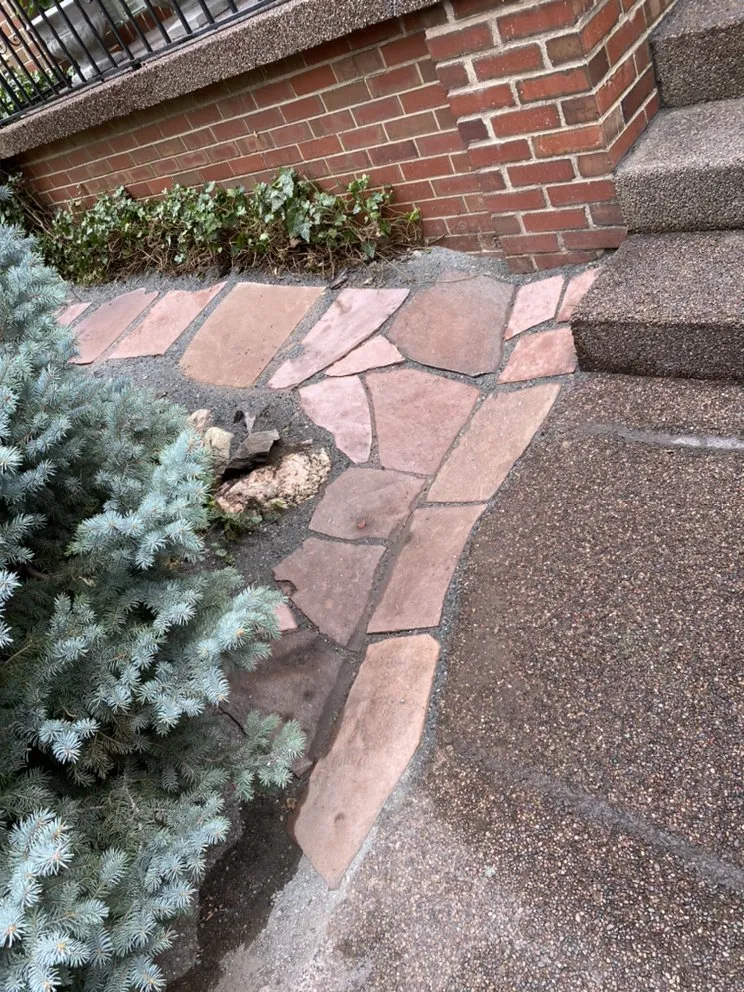 Affordable landscape design experts serving Denver, CO - Beauty For Seasons