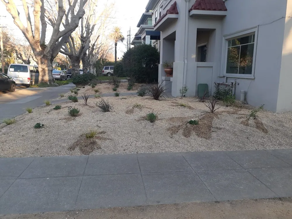 Trusted yard cleanup service near you in San Leandro, CA by Beauty Garden Landscaping