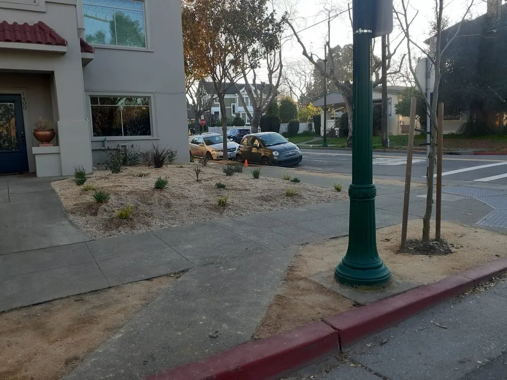 Expert yard cleanup service in San Leandro, CA by Beauty Garden Landscaping