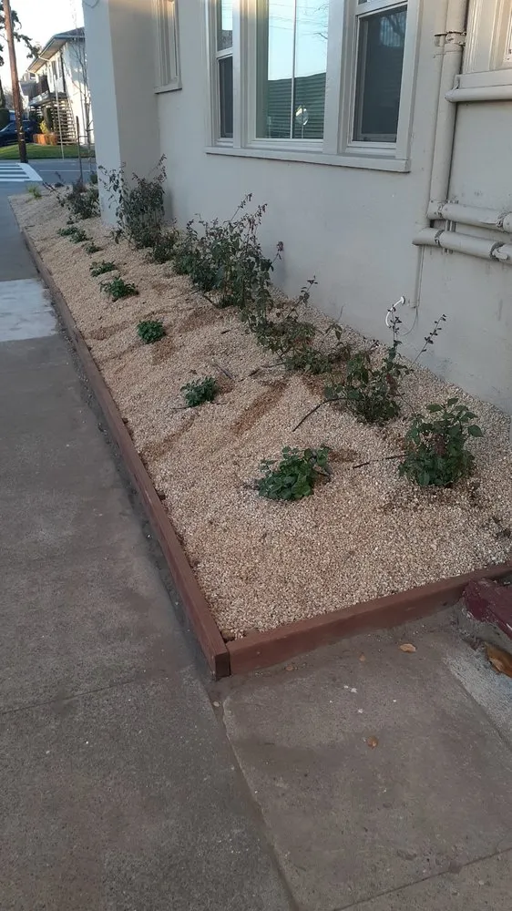 Expert lawn care service with custom design in San Leandro, CA by Beauty Garden Landscaping