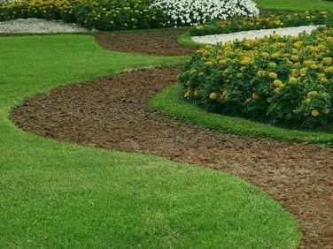 Custom landscape design for homes in Tukwila, WA by Beauty Garden Services