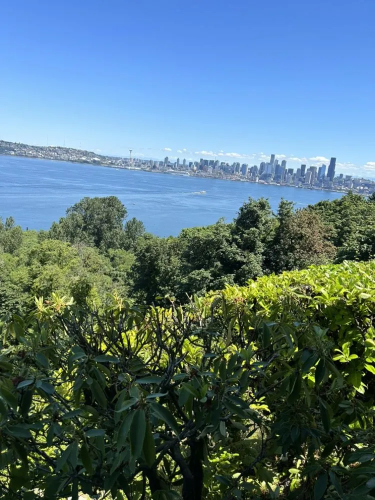 Trusted yard maintenance near you across Tukwila, WA - Beauty Garden Services