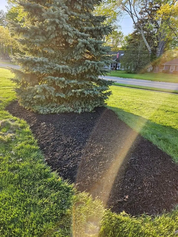 Local yard cleanup service experts serving Lorain, OH - Beauty in the Dirt Landscape Design