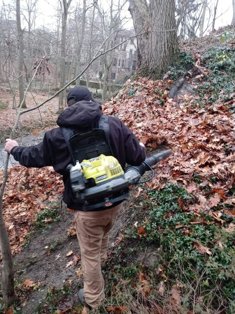 Expert outdoor landscaping in Lorain, OH by Beauty in the Dirt Landscape Design