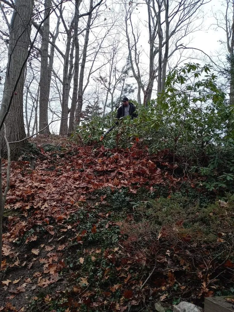 Affordable residential landscaping for homes across Lorain, OH - Beauty in the Dirt Landscape Design