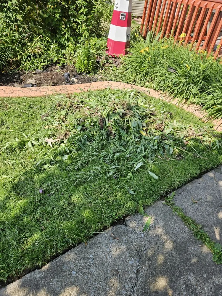 Trusted landscape design near you across Lorain, OH - Beauty in the Dirt Landscape Design