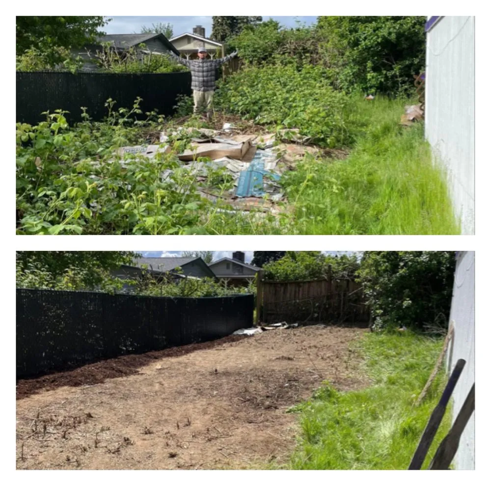 Custom yard maintenance in Olympia, WA by Beauty In The Dirt