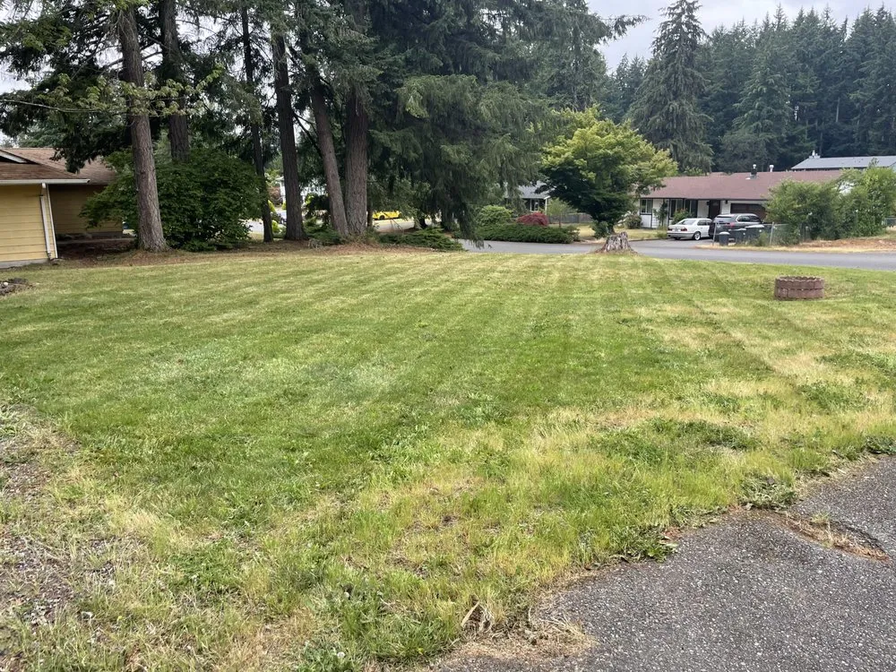 Professional yard cleanup service for residential properties in Olympia, WA by Beauty In The Dirt