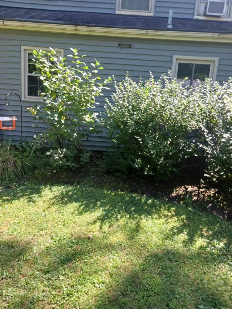 Affordable lawn mowing service experts serving Lorain, OH - Beauty Landscape and Flower Design