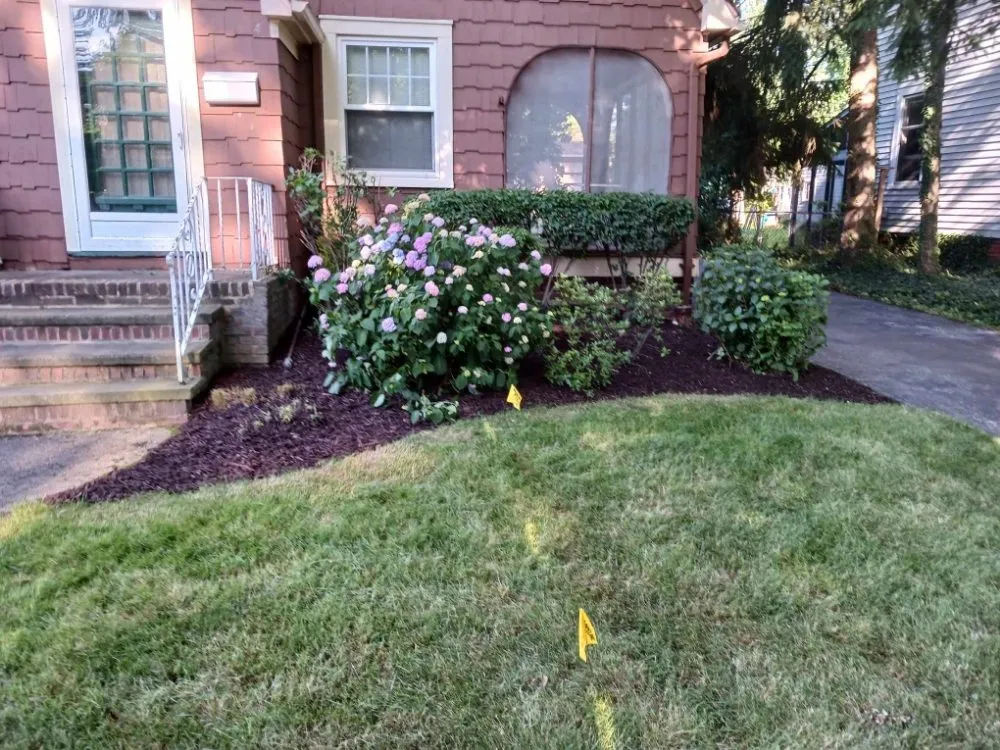Top-rated garden landscaping for year-round maintenance across Lorain, OH - Beauty Landscape and Flower Design