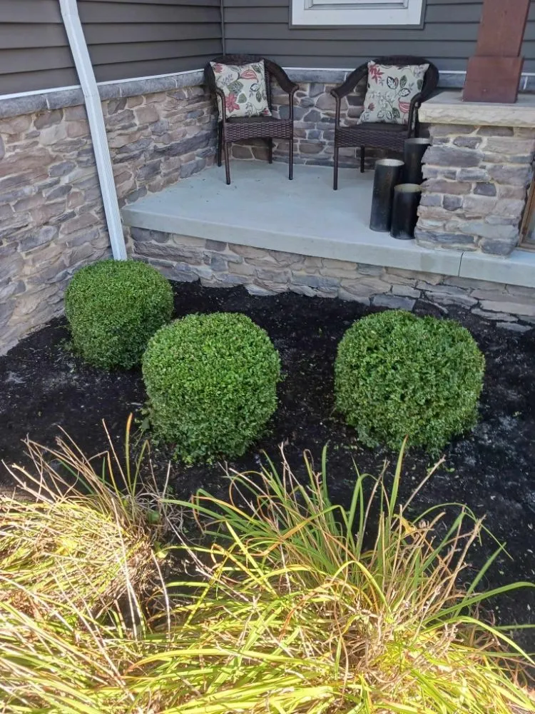 Professional yard cleanup service in Lorain, OH by Beauty Landscape and Flower Design