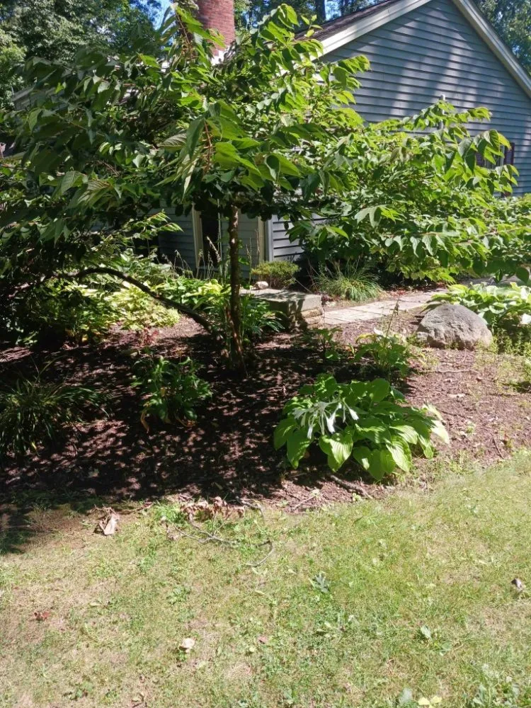 Trusted lawn care service in Lorain, OH - Beauty Landscape and Flower Design