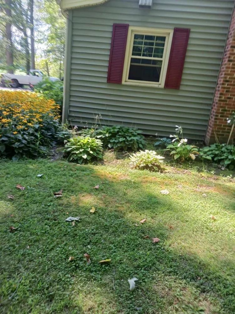 Local yard cleanup service in Lorain, OH - Beauty Landscape and Flower Design