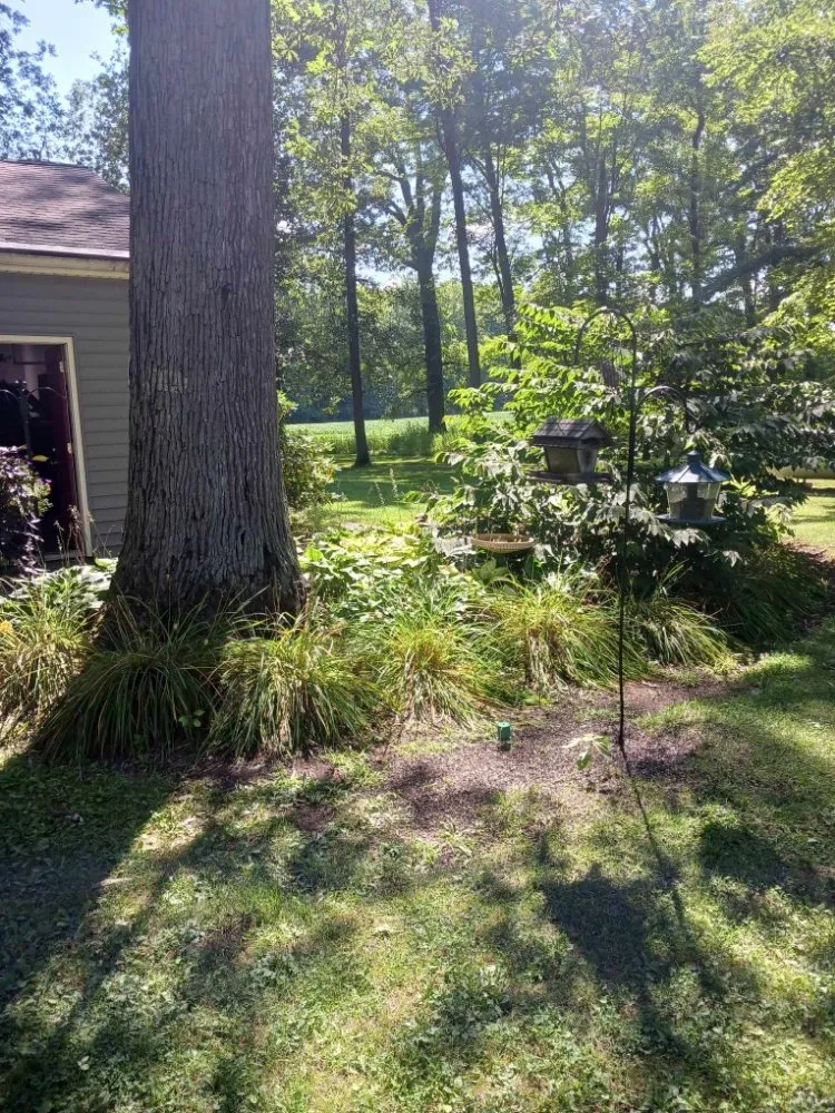 Reliable landscape design for residential properties across Lorain, OH - Beauty Landscape and Flower Design